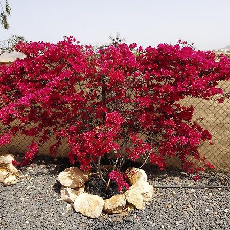 Dunasol Fuerteventura Corralejo Exteriér fotografie